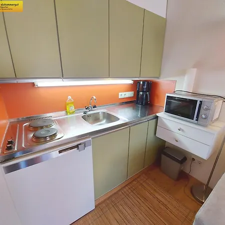 Grimmingblick 公寓 *