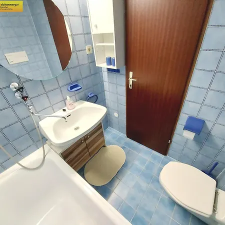Apartment Grimmingblick