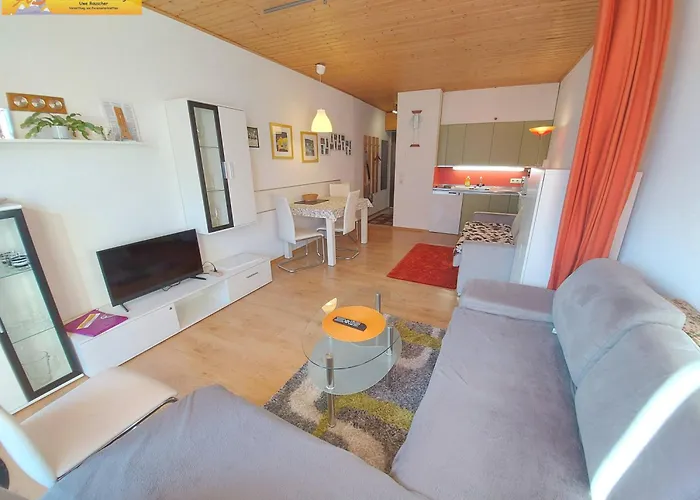 公寓 Grimmingblick *