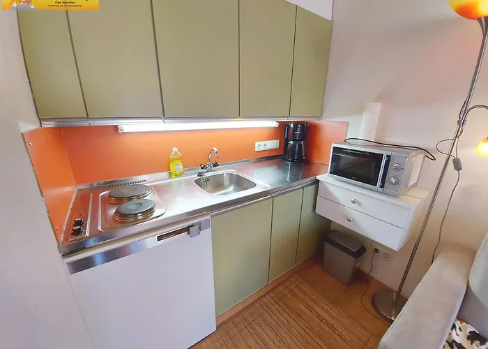 Grimmingblick 公寓 *